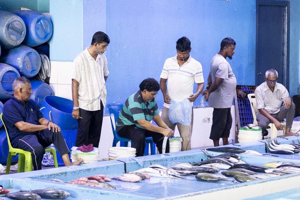 Fish Market