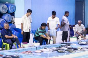 Fish Market