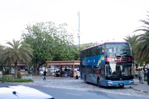 Bus travelling and bus stops around male