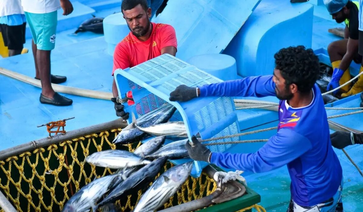 365471_3_eb12acaf21372556043ca54b700c801de438c976_large