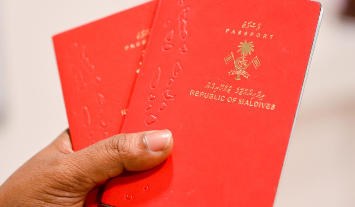 397030_3_f9c23a1ed4278f4049b7e23c3ca5907e02867889_large