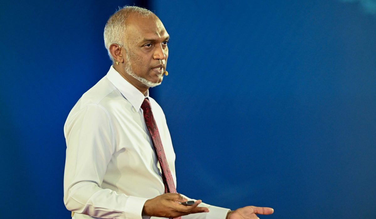 399b47ed-35a8-4294-876f-f7dea028d902