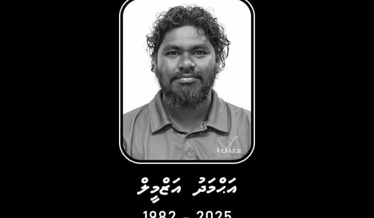 431119_3_e8eb9170644afb893cb6a2a739d6ffff5193ecdb_large