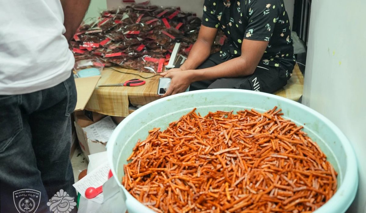 597350482_1267991788697607_6582038923267797234_n-1765181943252