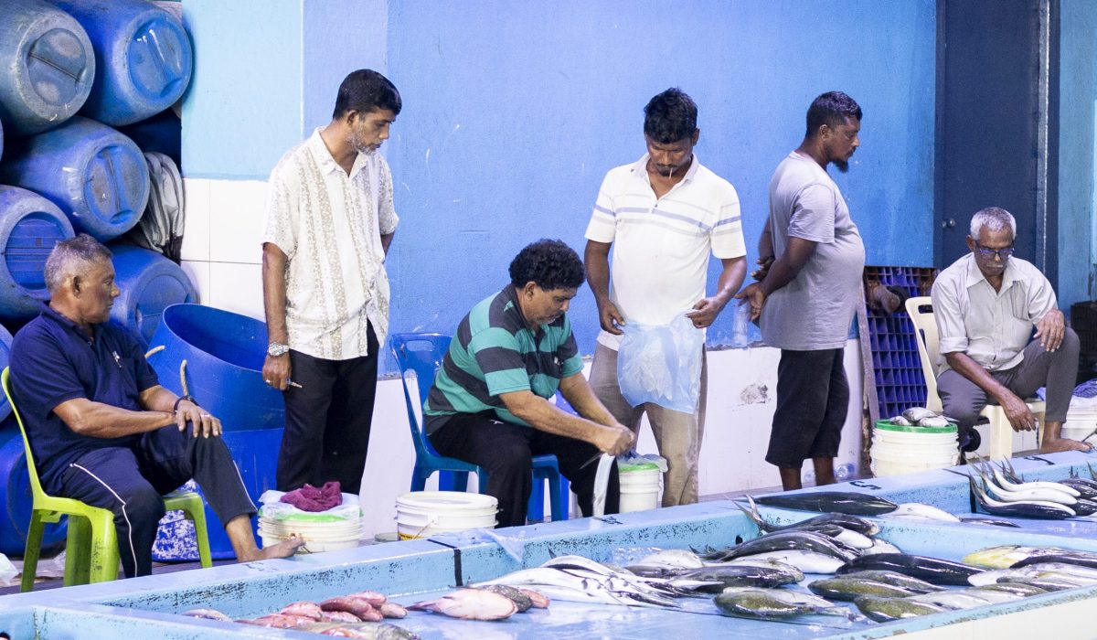 Fish Market