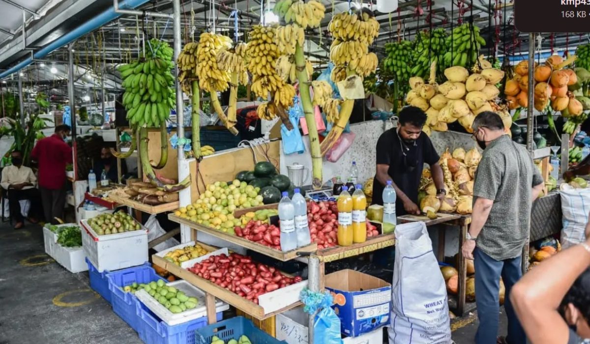 Screenshot 2026-02-22 203441