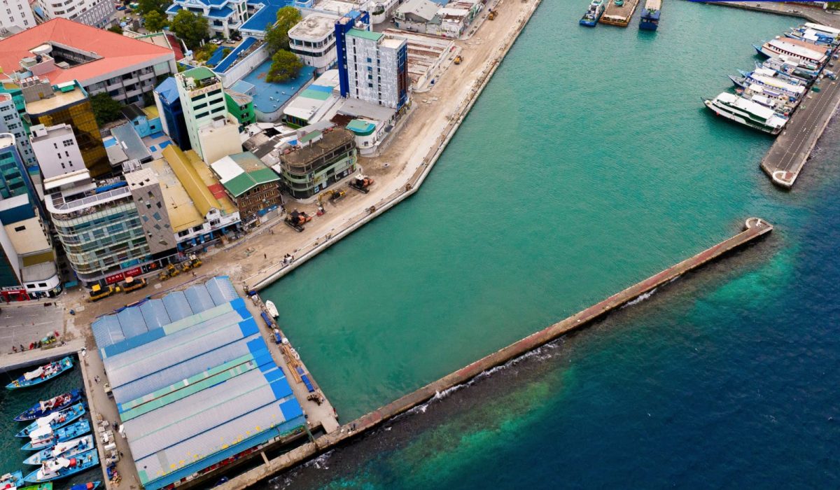 WhatsApp Image 2026-02-07 at 18.20.44