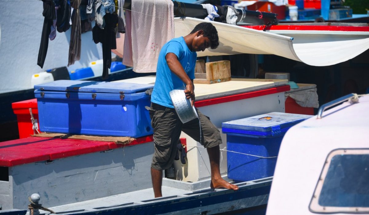 b_uw8QLw3ve6vG0k9rWUstHJNzq