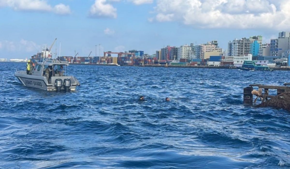 big_0a1xHBAHalrVpWZkTK8RpwlO5