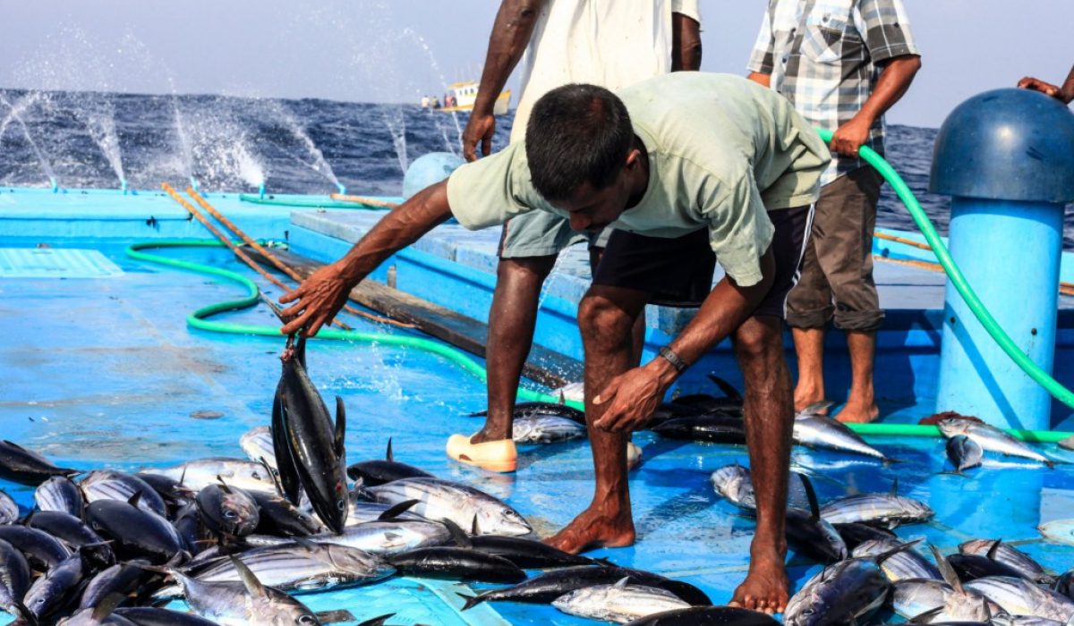 big_5rjstpNaUKeliW0LFh90sshEC_fishermen1