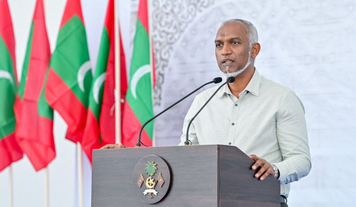 big_F06gn3GfOw36E5lk5o0Y7q01o