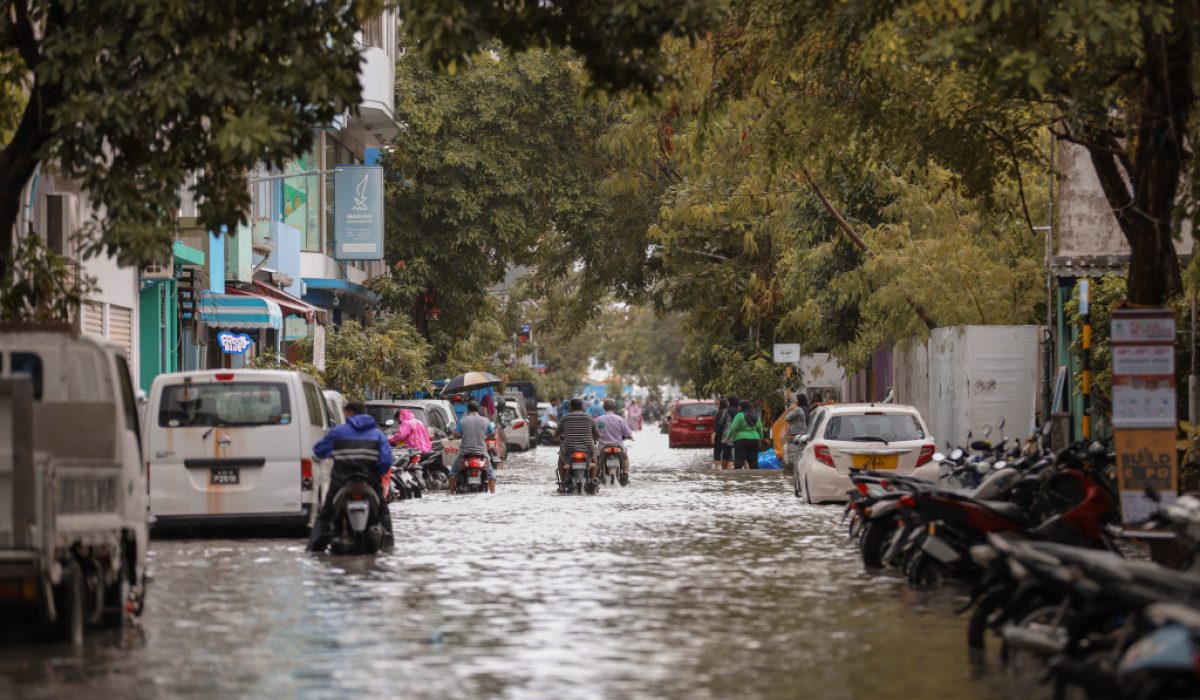 big_QCIrc6sugpsgVJo7IS304mKzQ