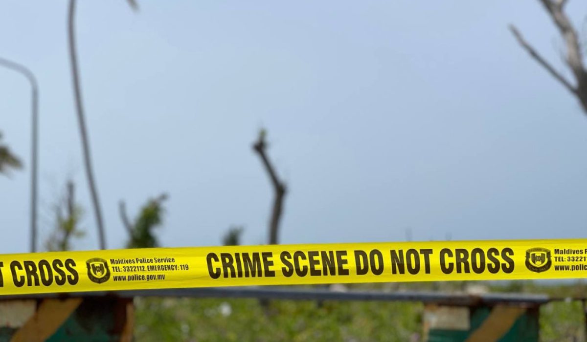 big_c2d3Oe52DpQAaMuymQDC6XPxl