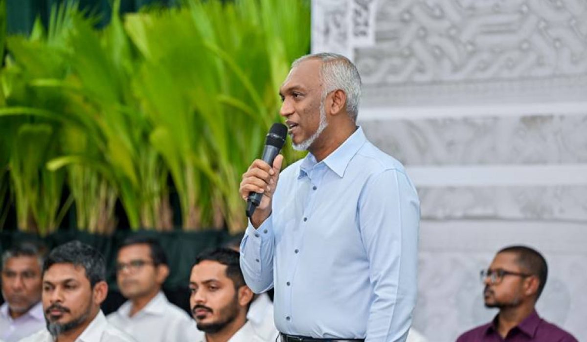 big_nLCUsLmXkLck4zf4fszREY7Iv