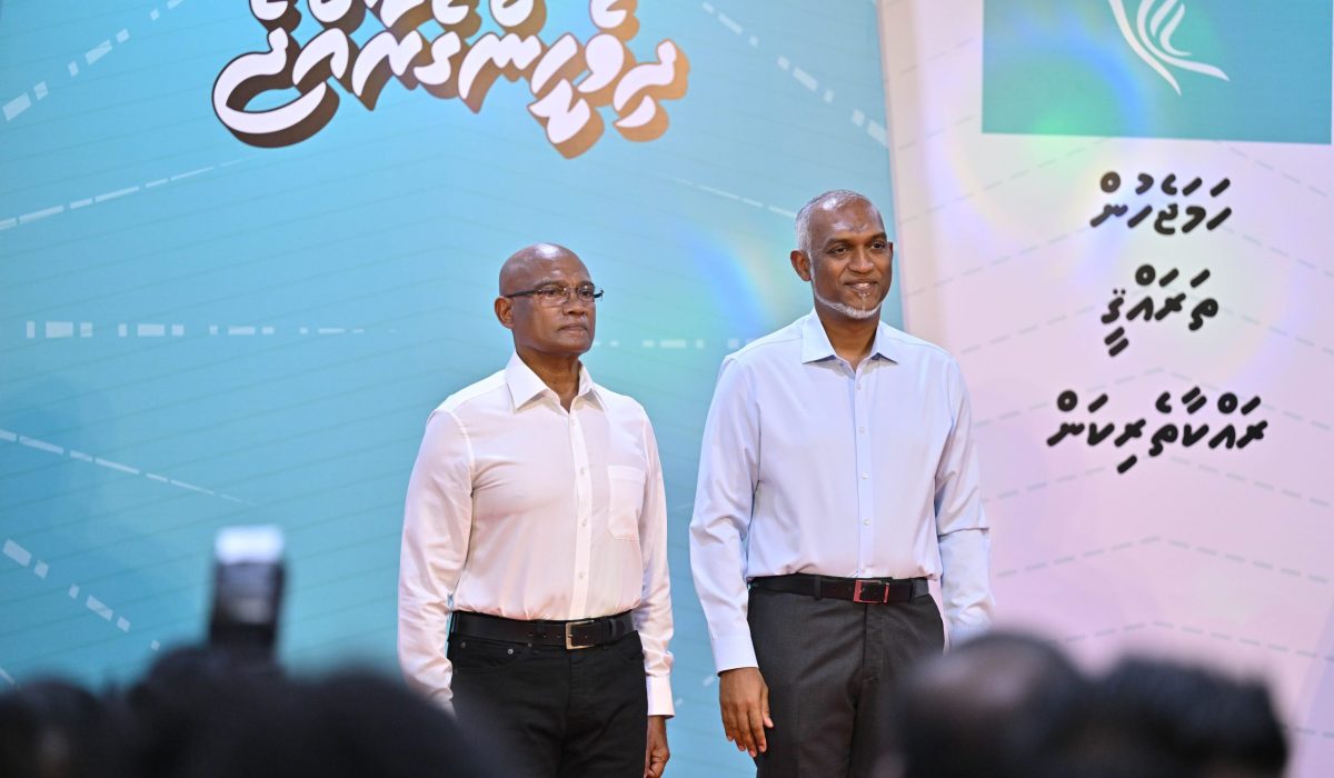 c291301e-2a5b-4956-ae62-15ea865e1248