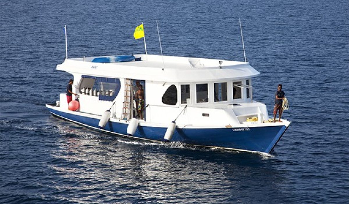 diving-duke-of-york-layout-liveaboard