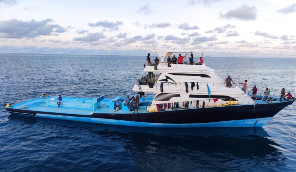 img_md_202009121200411599894041.7225