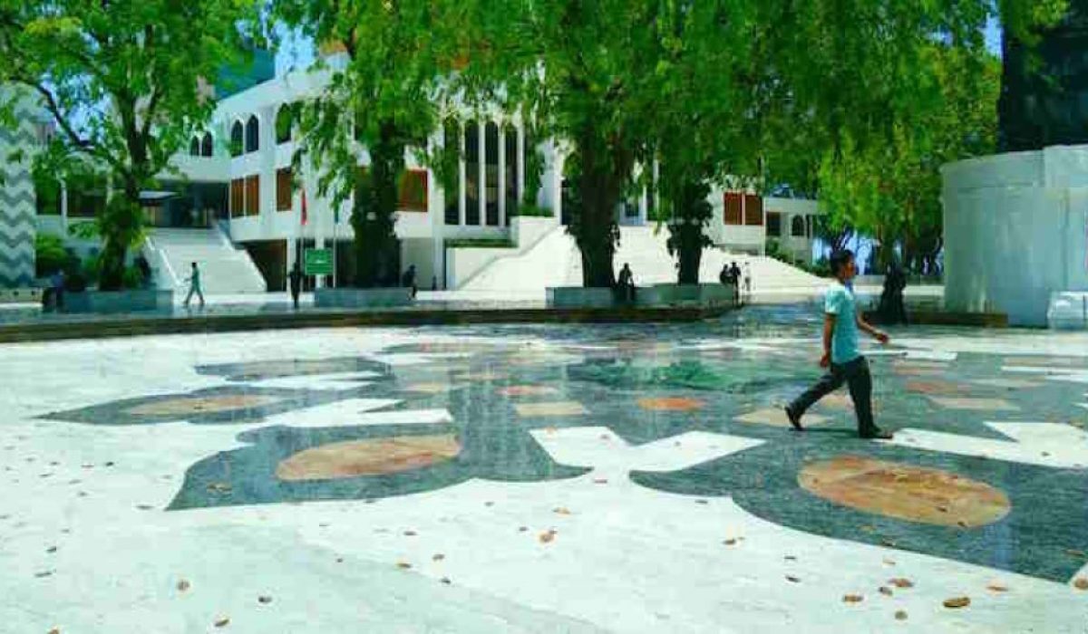 މެދު ޒިޔާރަތް މަގު