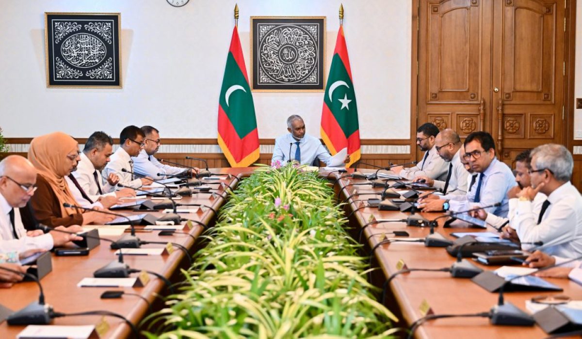 img_md_202502180119201739866760.7723