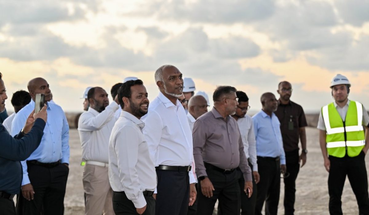 img_md_202511120832271762961547.5092