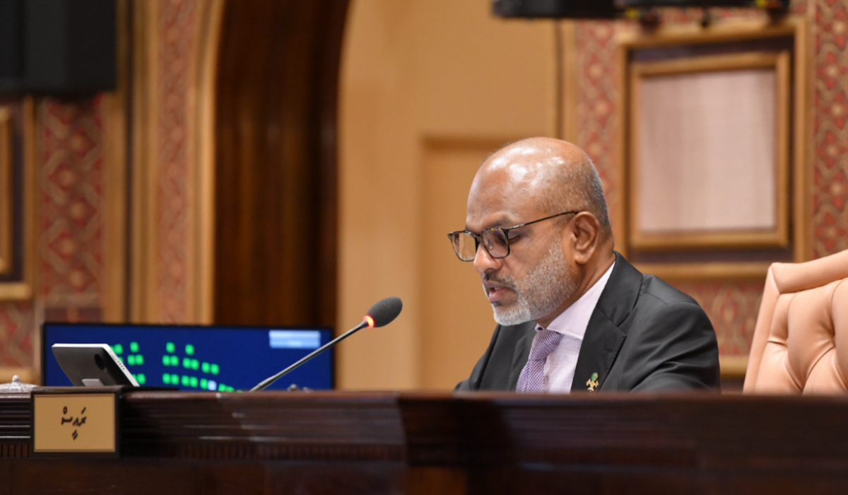 ރައްޔިތުންގެ މަޖިލީހުގެ ނައިބު ރައީސް ނާޒިމް