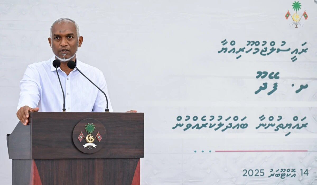 large_thumb_1760426329294