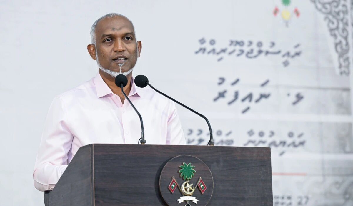 large_thumb_1761590885255