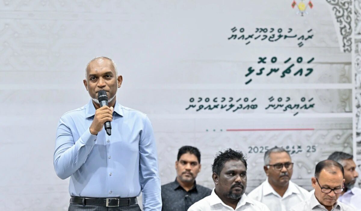 large_thumb_1764093293312