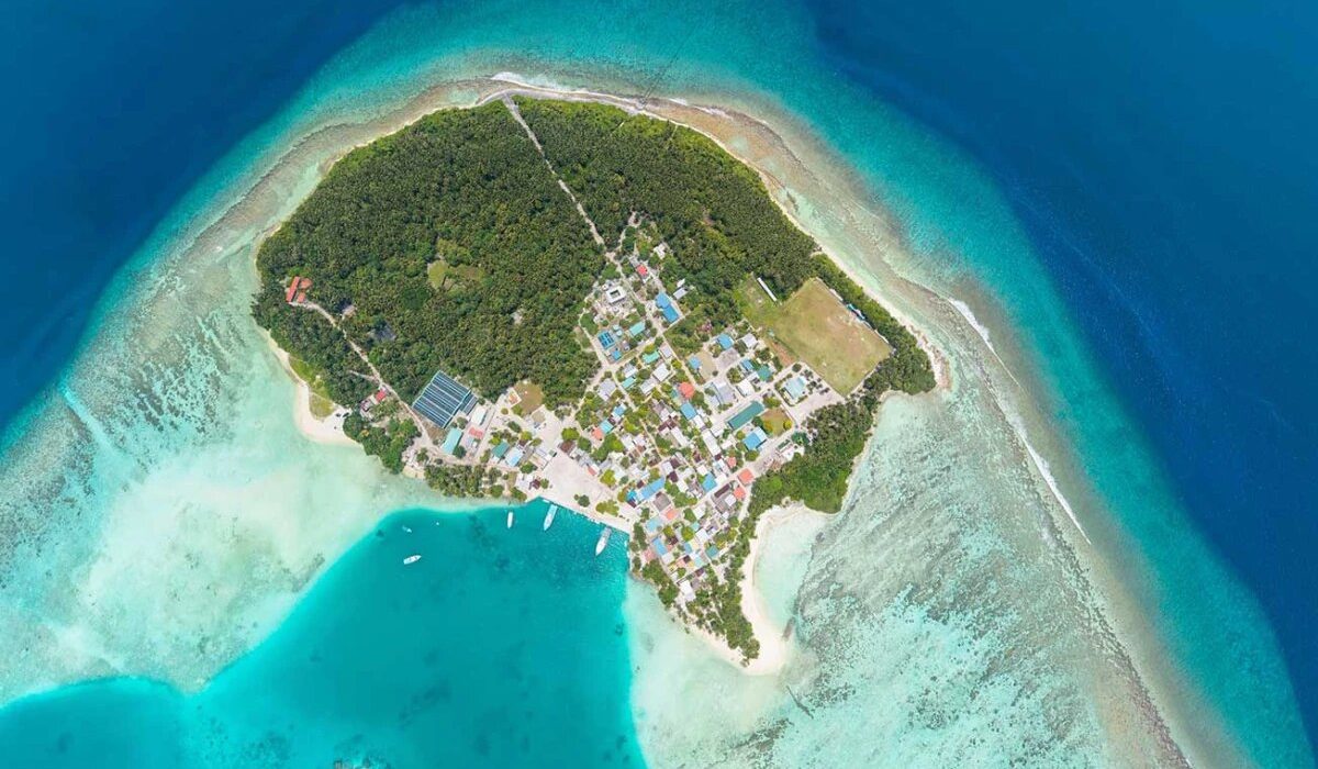 large_thumb_1766308244124