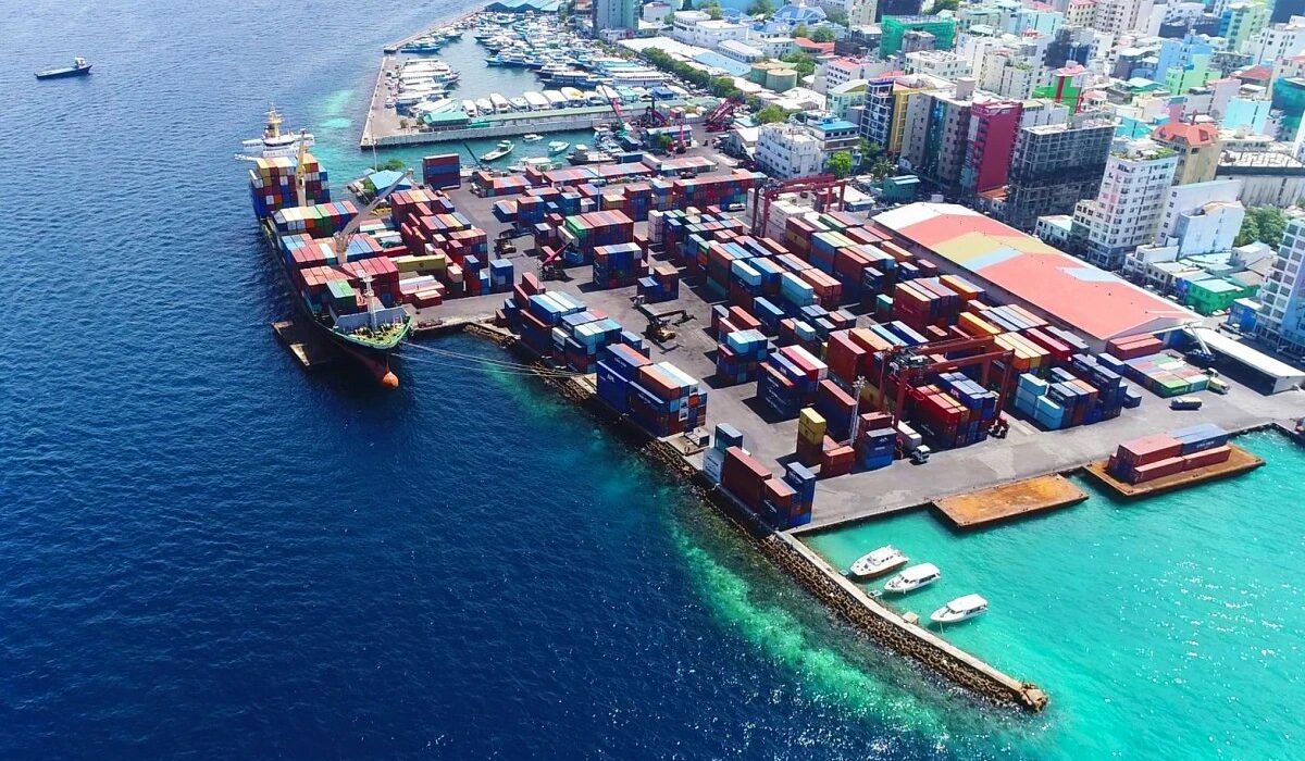 large_thumb_1769066420320