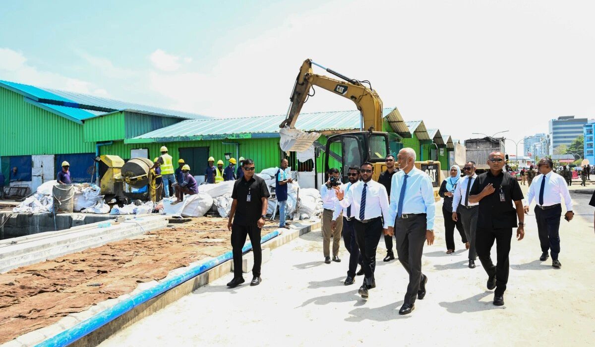 large_thumb_1770538290332