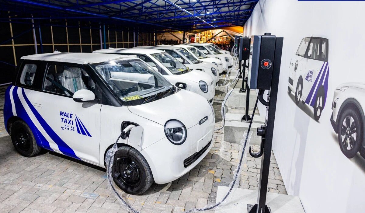 large_thumb_1775053788110