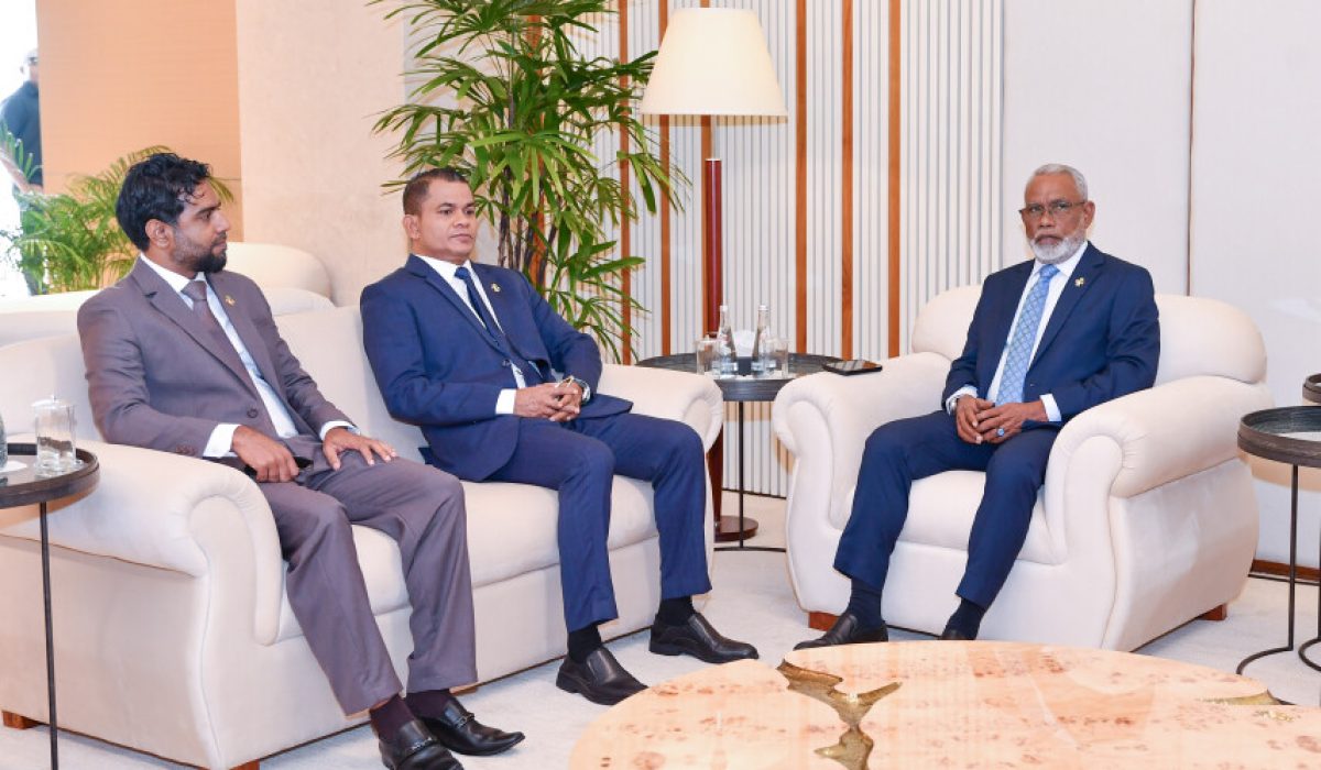 ރައްޔިތުންގެ މަޖިލީހުގެ ރައީސް ޕާކިސްތާނަށް ފުރާވަޑައިގެންނެވުން