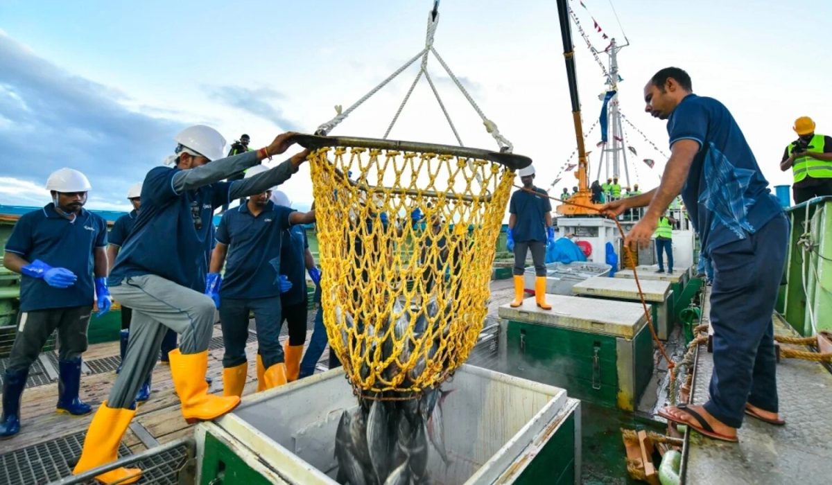 original_1738566949322-1738567763981-1754898402837-1756618607071-1757163363506